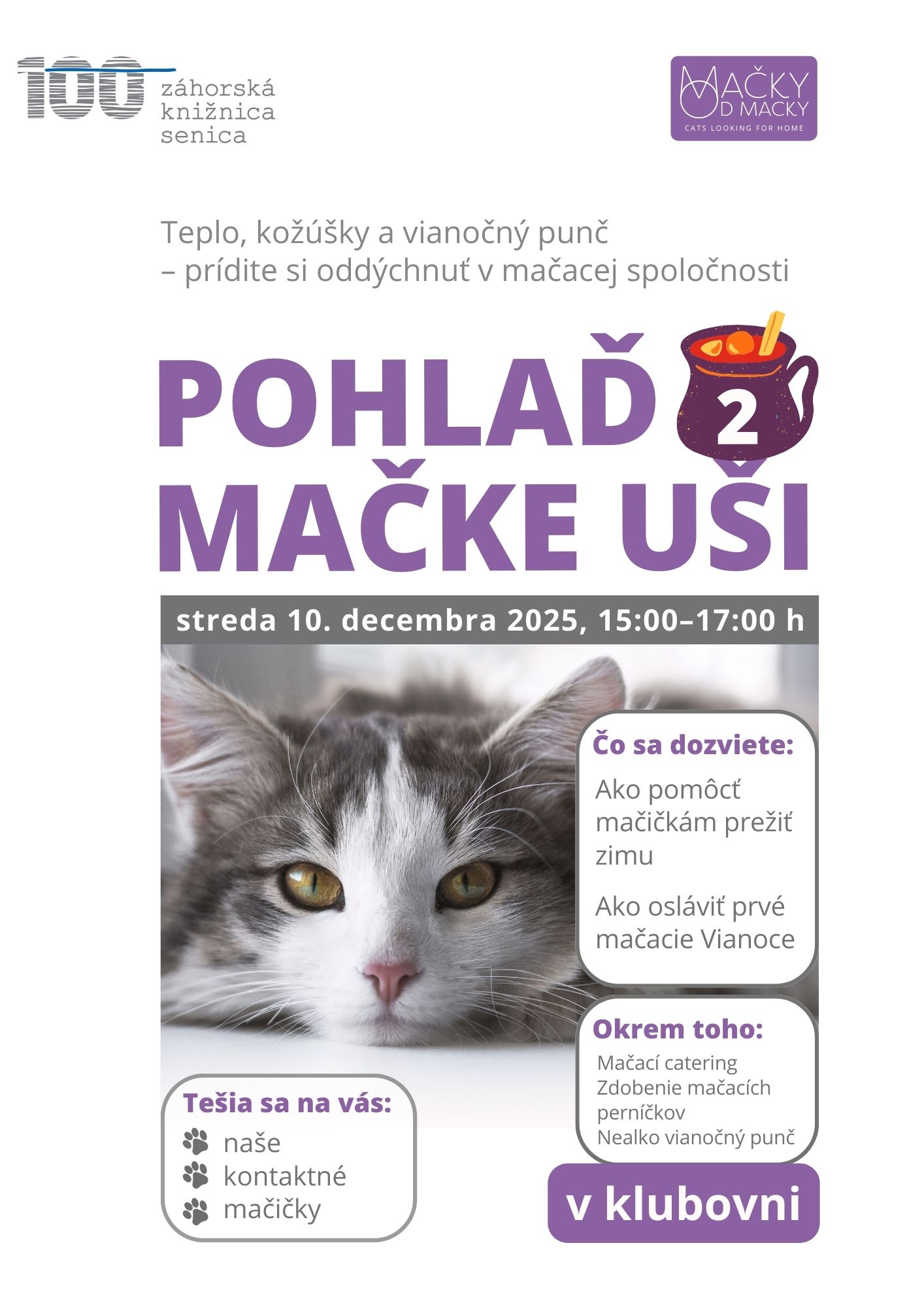 Mačky plagát (2).jpg